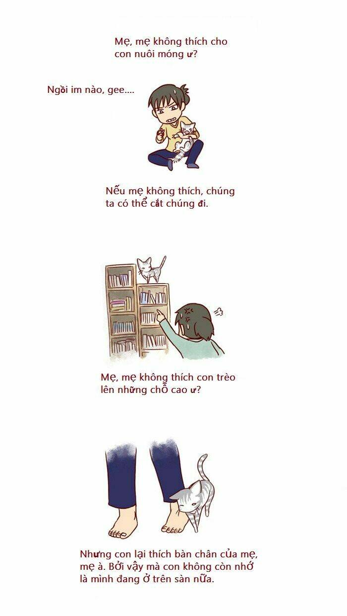 lazy