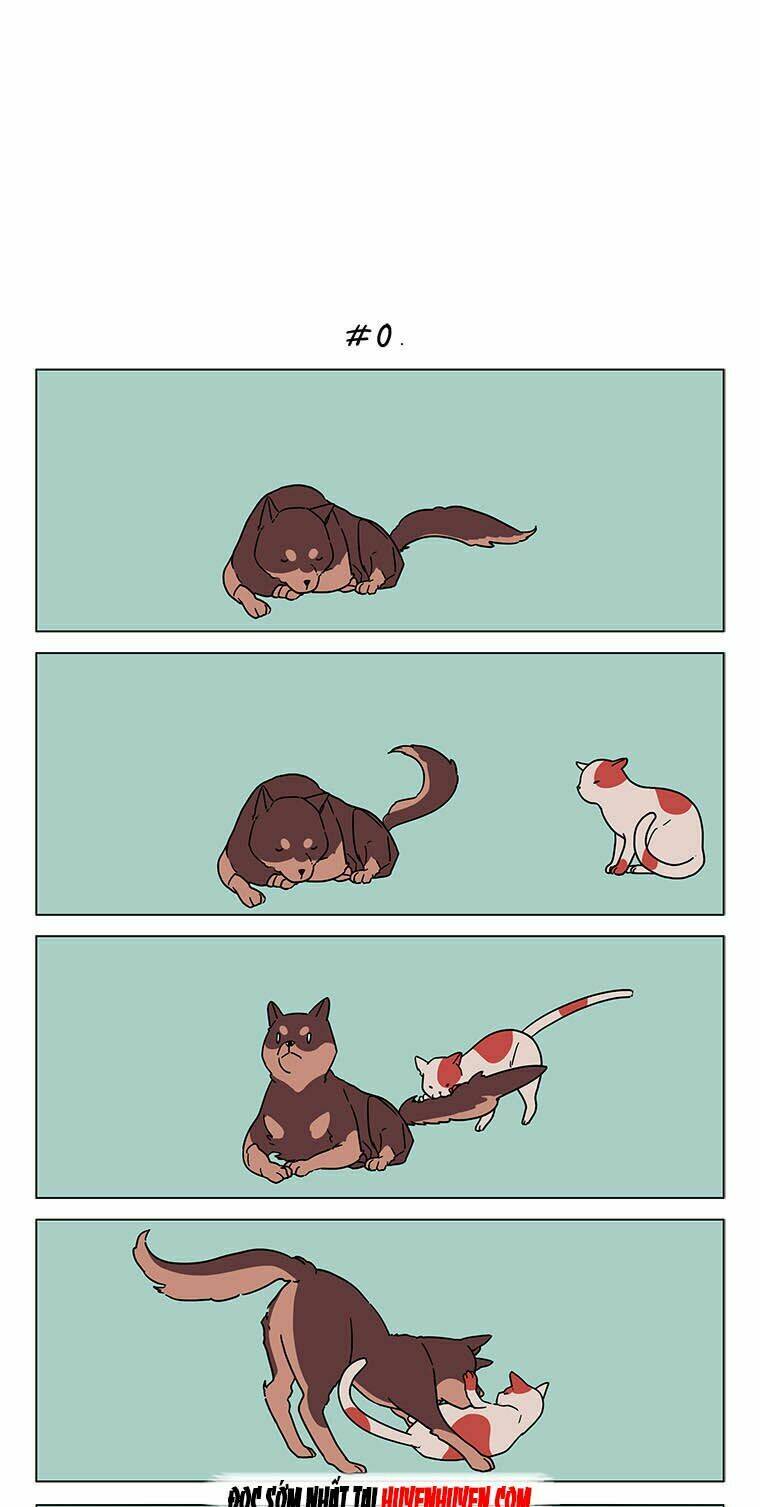 lazy