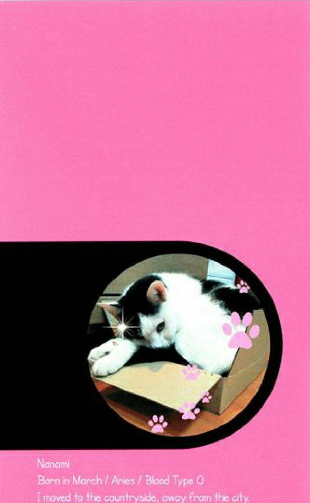 lazy