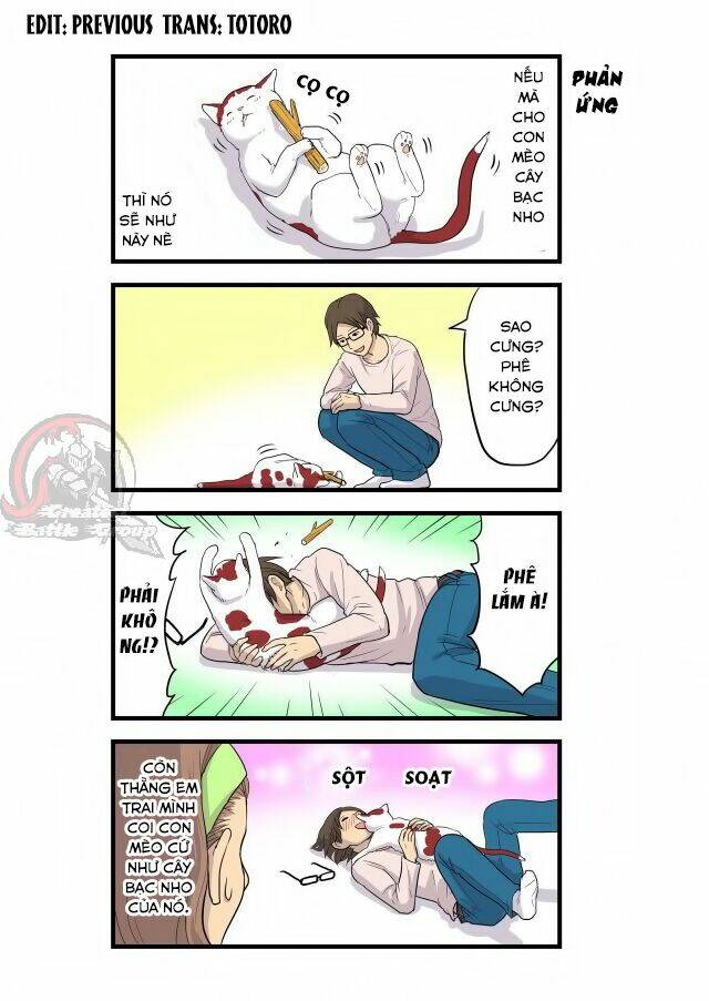 lazy