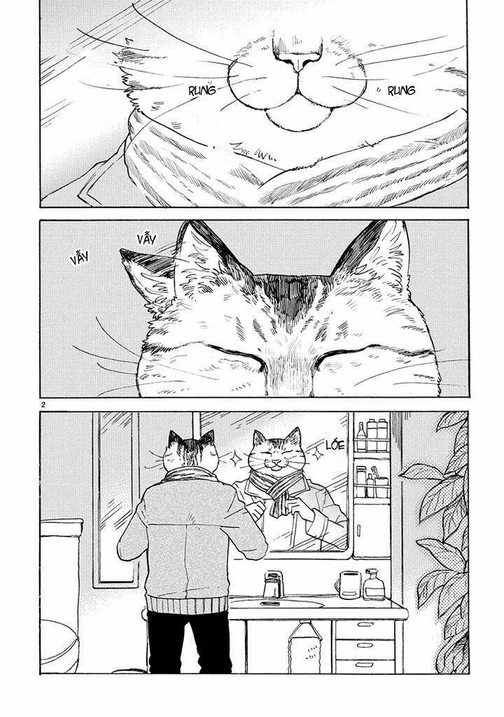 lazy