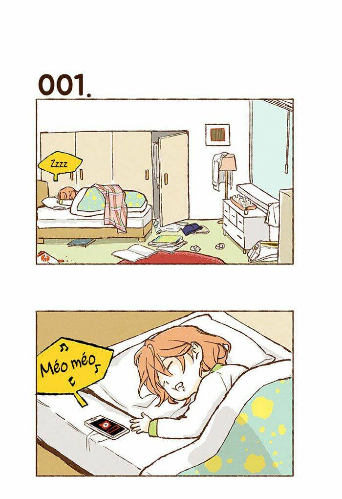 lazy