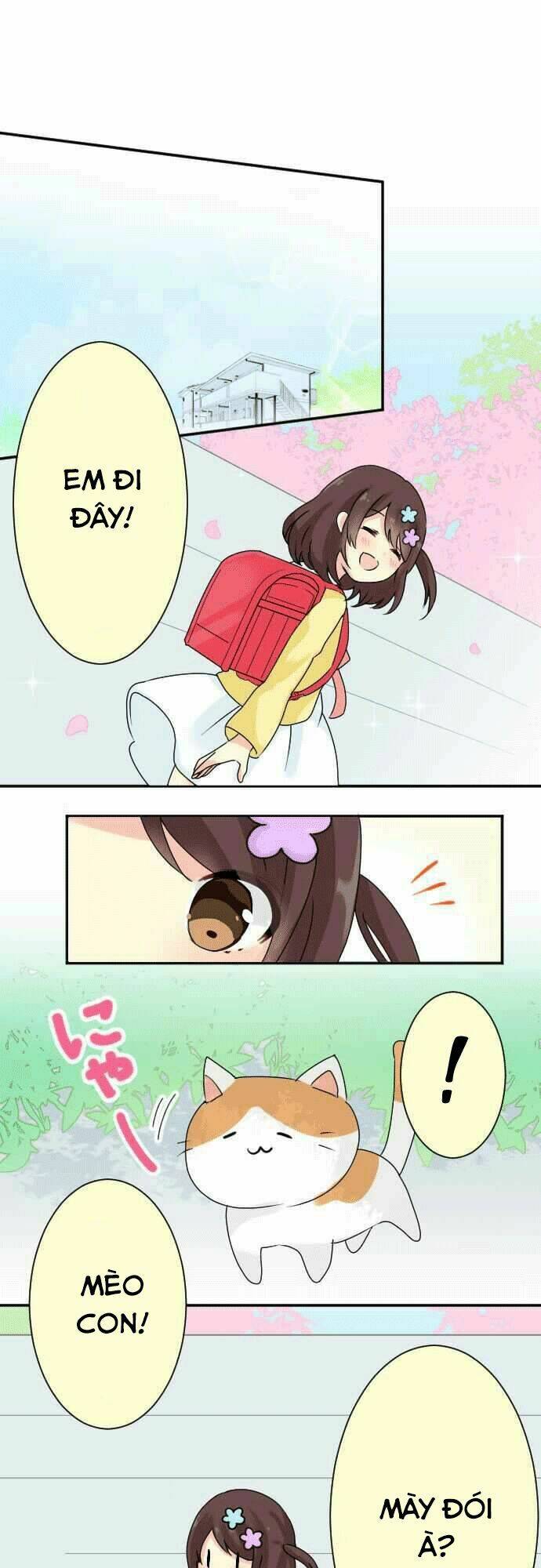 lazy