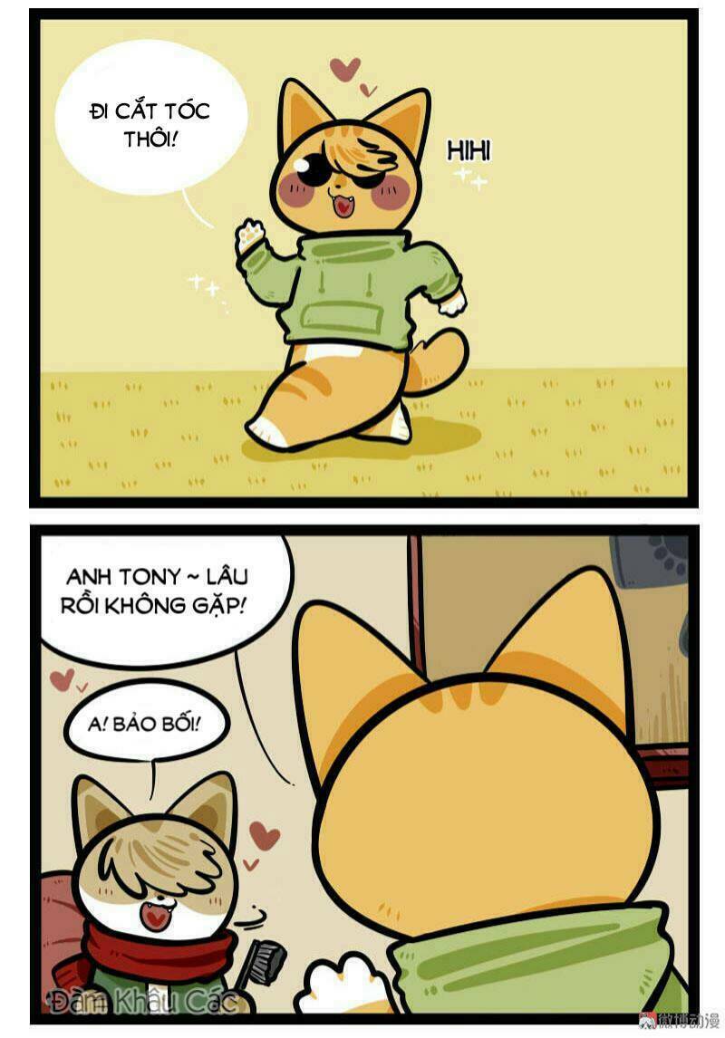 lazy