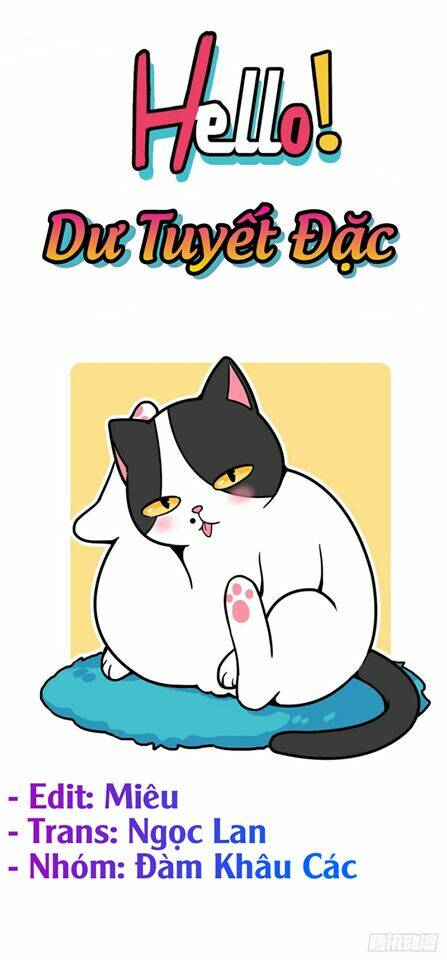 lazy