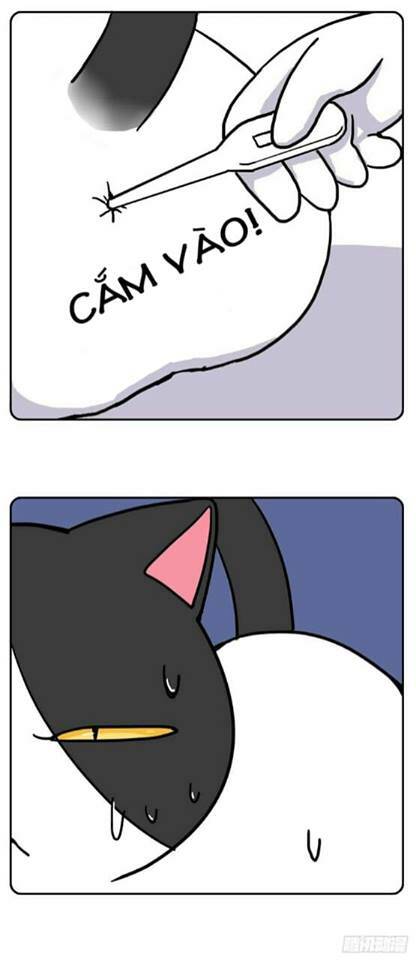 lazy