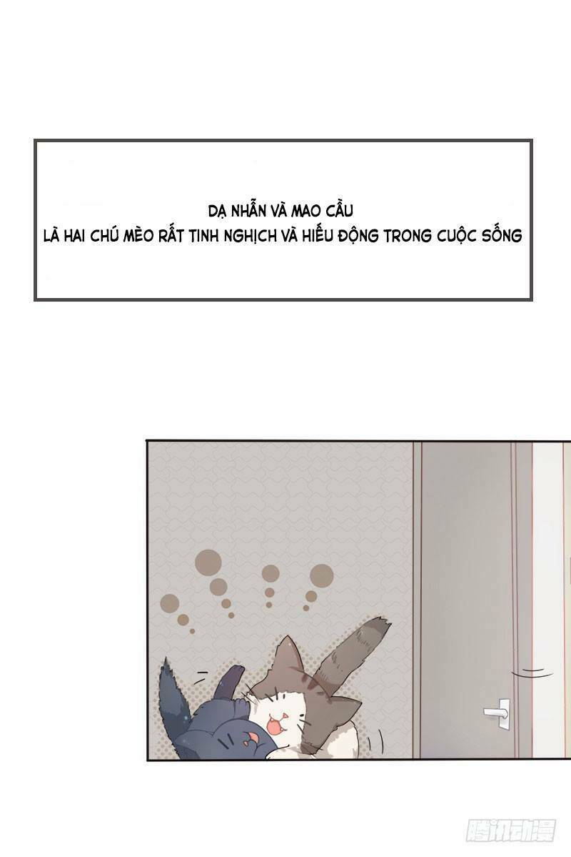 lazy