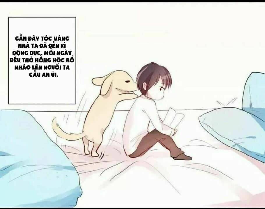lazy