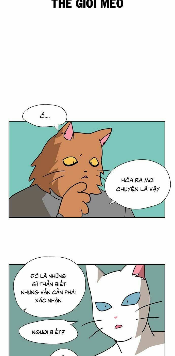 lazy