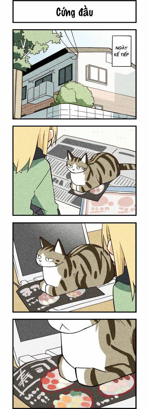 lazy