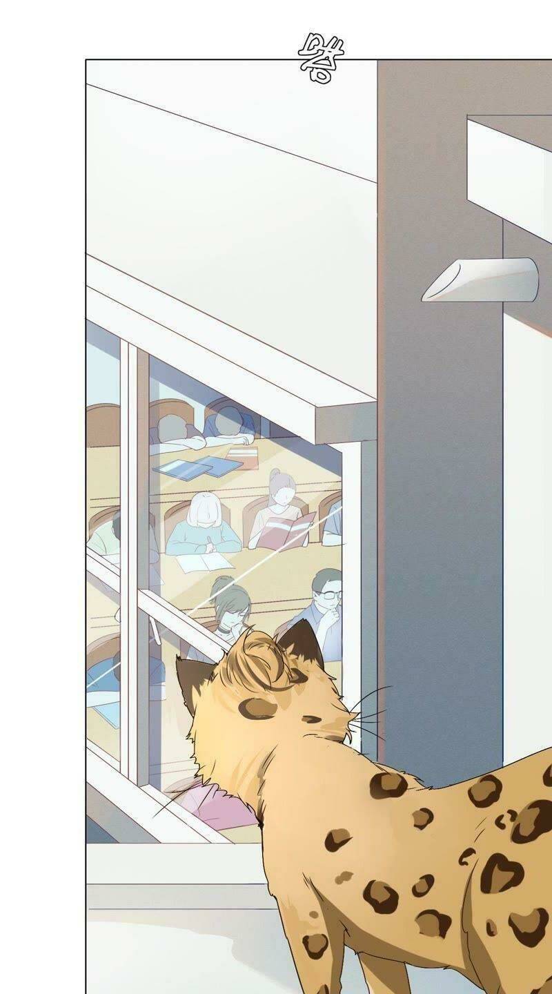 lazy