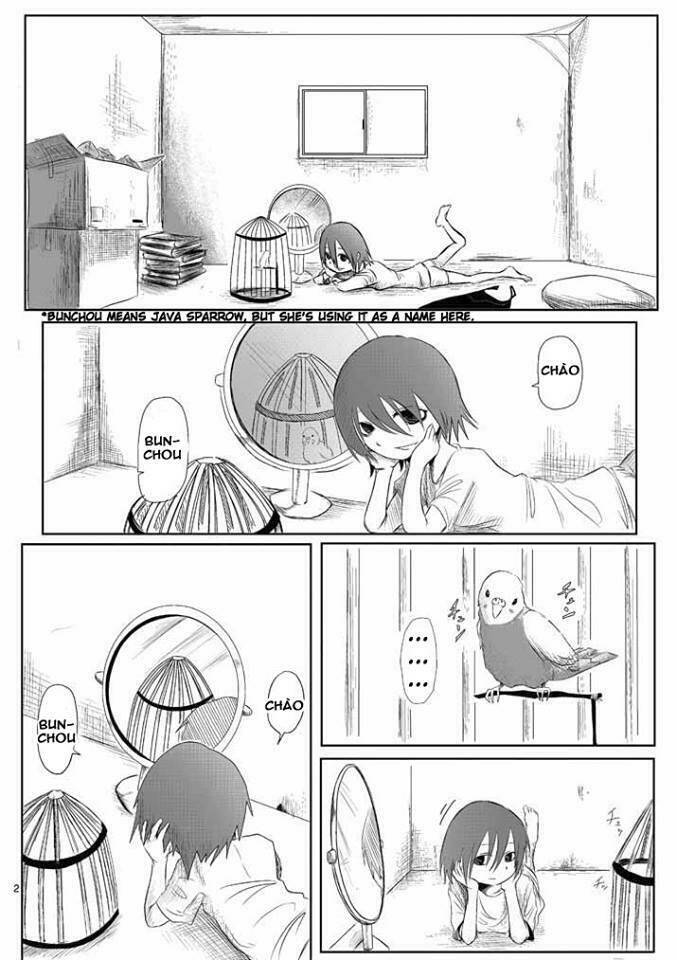lazy