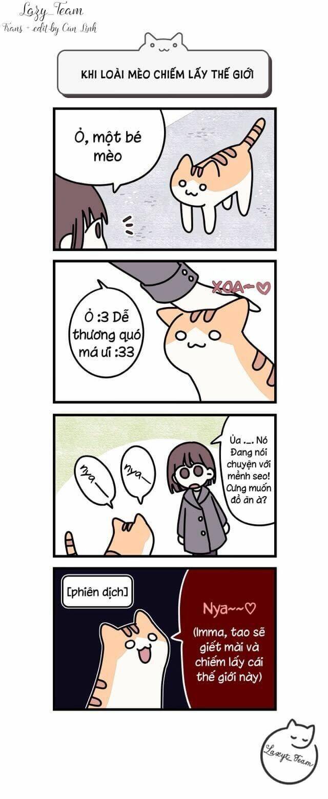 lazy