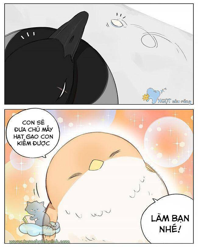 lazy