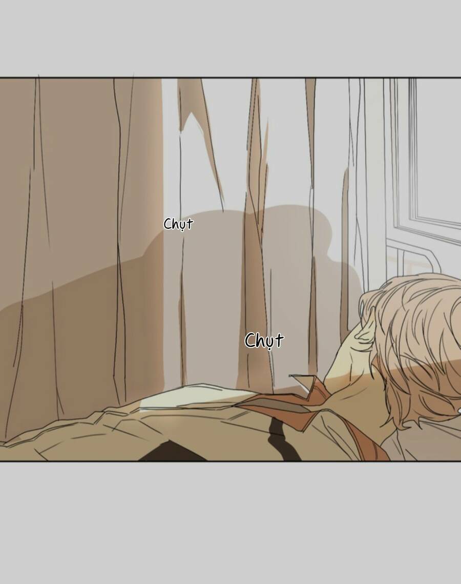 lazy