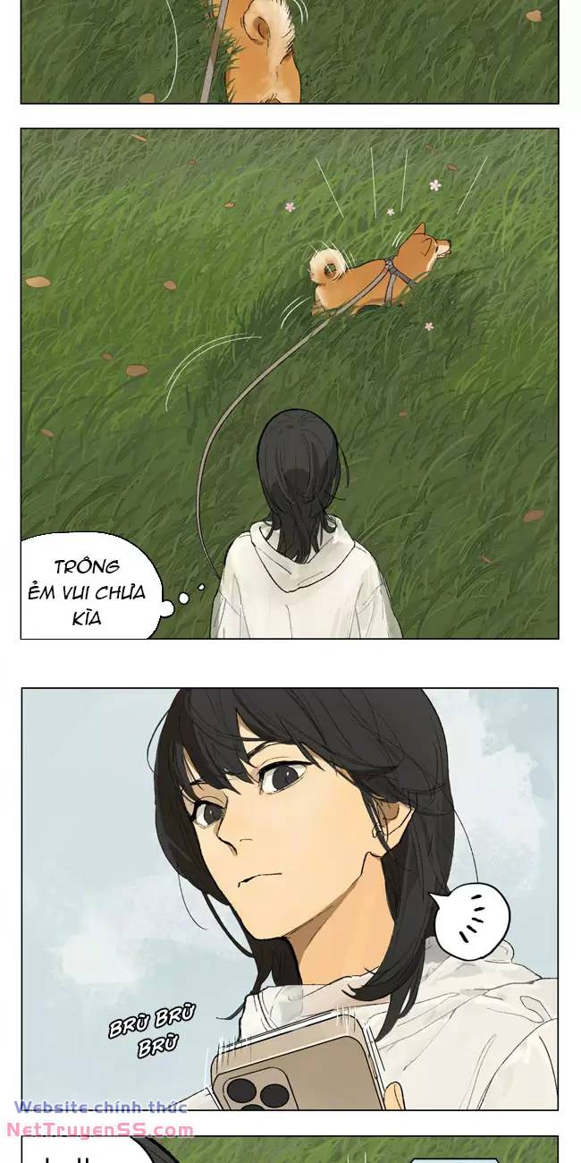 lazy