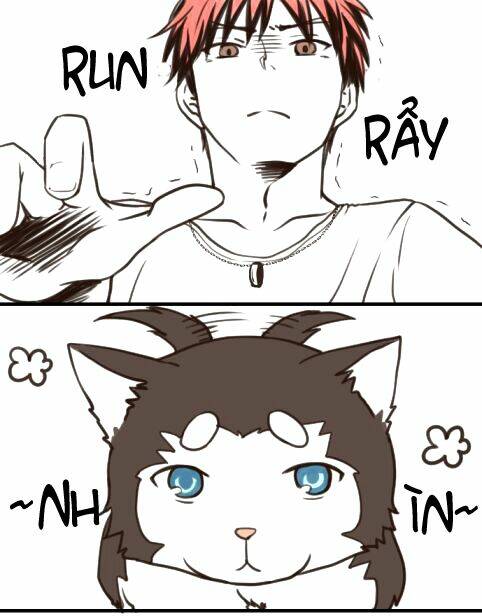 lazy