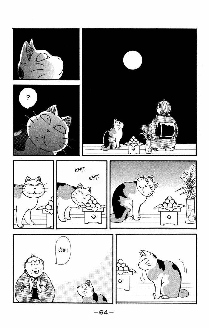 lazy