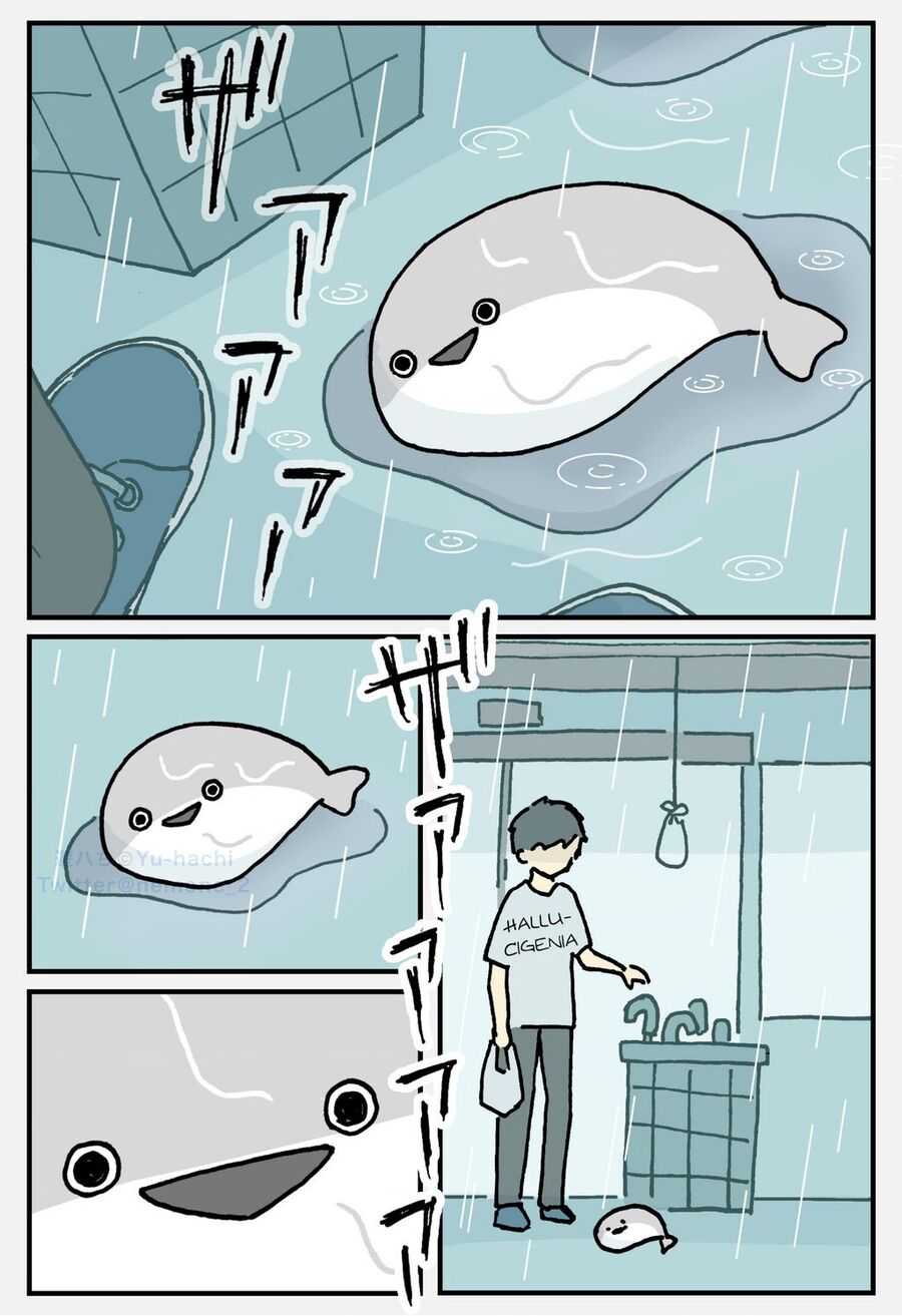 lazy